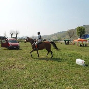 Domenica 19 aprile 2015 - Ministage Cross e Salto.