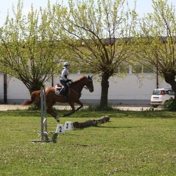 Domenica 19 aprile 2015 - Ministage Cross e Salto.