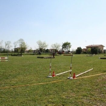 Domenica 19 aprile 2015 - Ministage Cross e Salto.