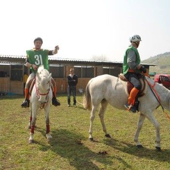  Endurance- Verona 12 aprile 2015