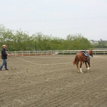 Western Riding 23-25 aprile 2015