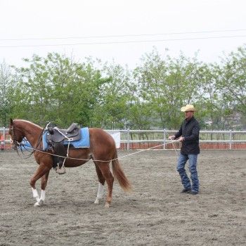 Western Riding 23-25 aprile 2015