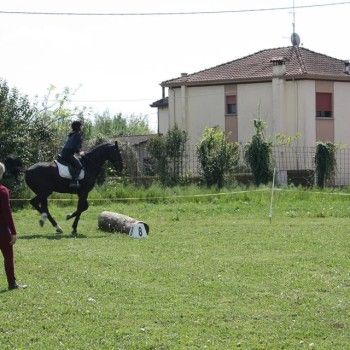 Domenica 19 aprile 2015 - Ministage Cross e Salto.