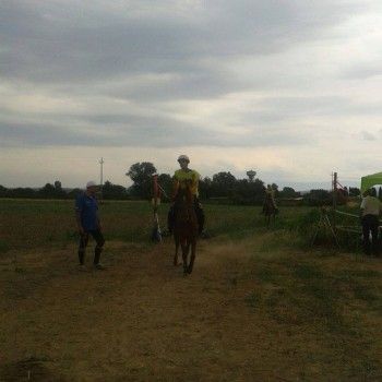 Endurance - San Canzian d'Isonzo 14 giugno 2015