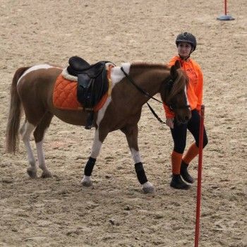 Pony Games - Trofeo 4 Regioni -Vermezzo (MI) 11-13 marzo 2016