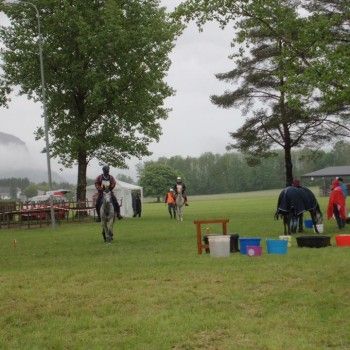 Endurance - GARA GLAINACH/AUSTRIA 23/05/2015 CAMPIONATO REGIONE C.