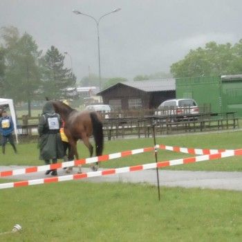 Endurance - GARA GLAINACH/AUSTRIA 23/05/2015 CAMPIONATO REGIONE C.