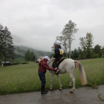 Endurance - GARA GLAINACH/AUSTRIA 23/05/2015 CAMPIONATO REGIONE C.