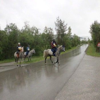 Endurance - GARA GLAINACH/AUSTRIA 23/05/2015 CAMPIONATO REGIONE C.