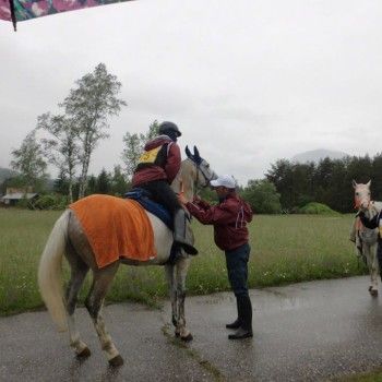Endurance - GARA GLAINACH/AUSTRIA 23/05/2015 CAMPIONATO REGIONE C.