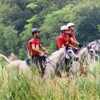 Endurance - San Canzian d'Isonzo 14 giugno 2015