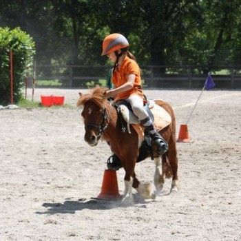  Pony Games - Rovigo - 18 Maggio 2014