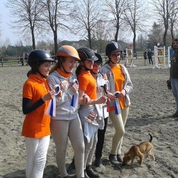 Pony Games: Gymkana e presentazione 20 marzo CEV Mogliano