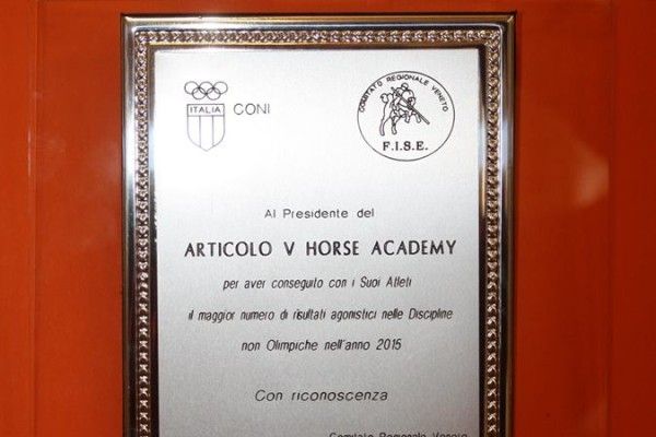 Premio Speciale all'Articolo V