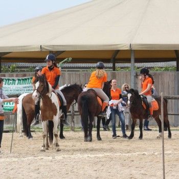 Pony Games : Gara Sociale al Tarvisium Stella -Pieve di Soligo 4 aprile 2016