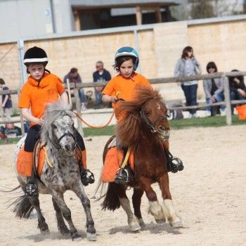 Pony Games : Gara Sociale al Tarvisium Stella -Pieve di Soligo 4 aprile 2016