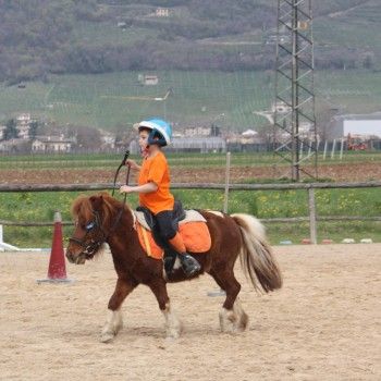 Pony Games : Gara Sociale al Tarvisium Stella -Pieve di Soligo 4 aprile 2016