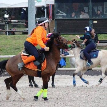 Pony Games Peter Dale -Istres (Francia) marzo 2016
