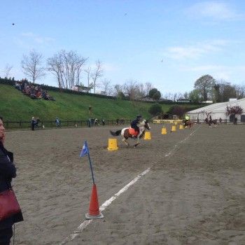 Pony Games; C. I. La Scuderia -Biella