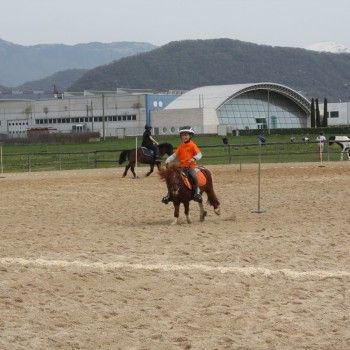 Pony Games : Gara Sociale al Tarvisium Stella -Pieve di Soligo 4 aprile 2016