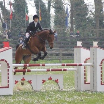Internazionale di Completo : Ravenna 4 aprile 2016