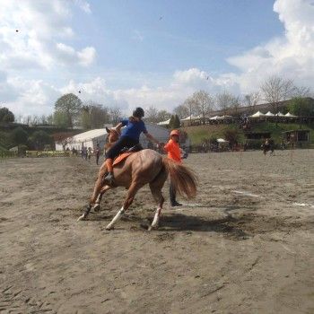 Pony Games; C. I. La Scuderia -Biella