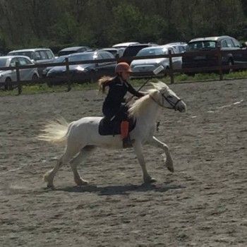 Pony Games; C. I. La Scuderia -Biella