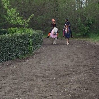 Pony Games; C. I. La Scuderia -Biella