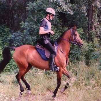 Endurance : San Vito al Tagliamento