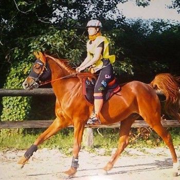 Endurance : San Vito al Tagliamento