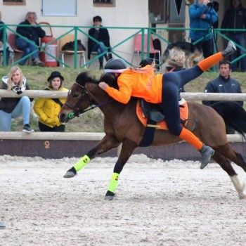 Pony Games Peter Dale -Istres (Francia) marzo 2016