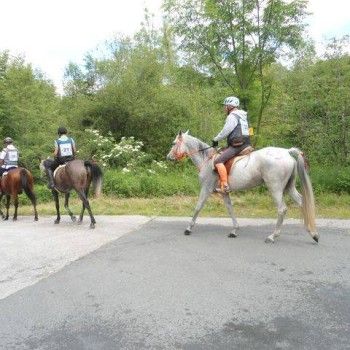 Endurance - Ferlach, Austria - 31 maggio 2014