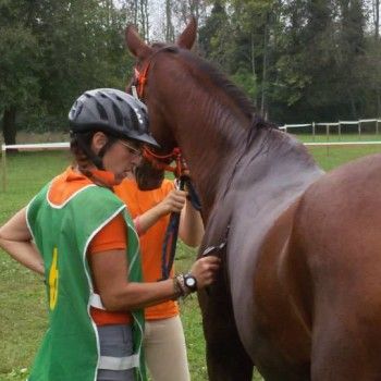 Endurance Sacile 21 settembre 2014