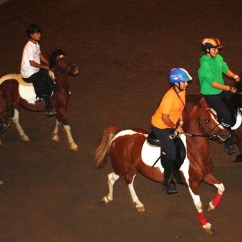 Spettacolo equestre 21 settembre 2016