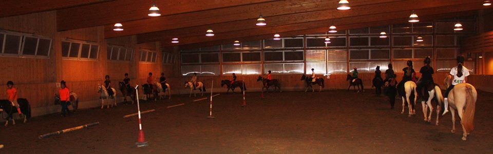 Spettacolo equestre 21 settembre 2016