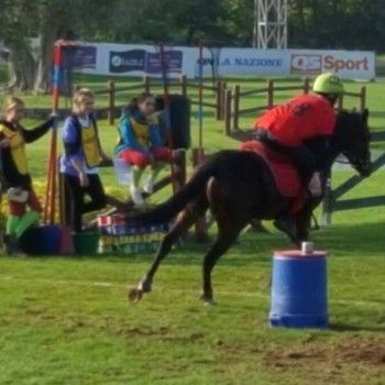 Pony Games - Trofeo 4 regioni -Arezzo 1/2 ottobre 2016