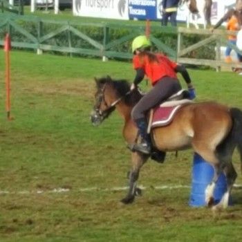 Pony Games - Trofeo 4 regioni -Arezzo 1/2 ottobre 2016