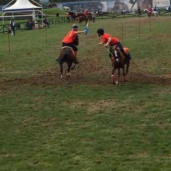 Pony Games - Trofeo 4 regioni -Arezzo 1/2 ottobre 2016