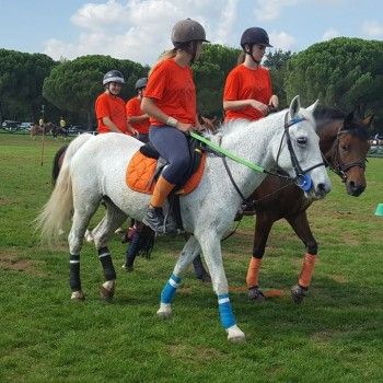 Pony Games - Trofeo 4 regioni -Arezzo 1/2 ottobre 2016