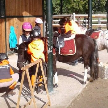 Ministage di Gimkana e Ministage di Pulizia e Sellaggio -16 ottobre 2016
