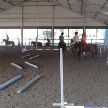 Ministage di Gimkana e Ministage di Pulizia e Sellaggio -16 ottobre 2016