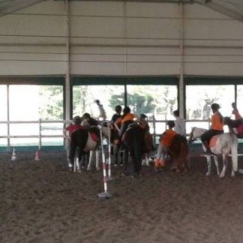Ministage di Gimkana e Ministage di Pulizia e Sellaggio -16 ottobre 2016