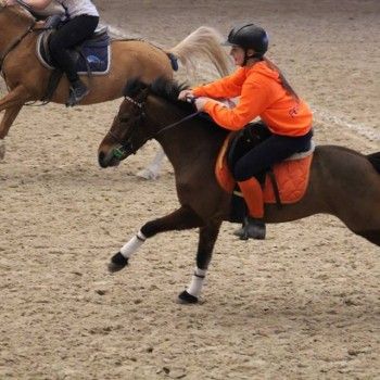 Pony Games - Trofeo 4 Regioni -Vermezzo (MI) 11-13 marzo 2016