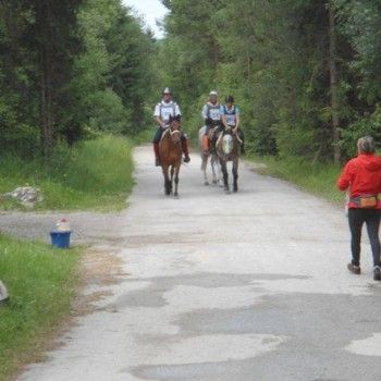 Endurance - Ferlach, Austria - 31 maggio 2014