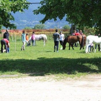 Domenica 4 maggio - Progetto genitori 
