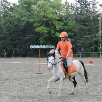 Ponymania -Cervia 25-27 aprile 2014