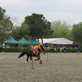 Ponymania -Cervia 25-27 aprile 2014