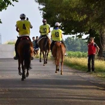 Endurance - San Canzian d'Isonzo 14 giugno 2015