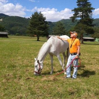 Endurance - Ferlach, Austria - 31 maggio 2014