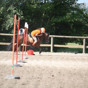  Pony Games - Rovigo - 18 Maggio 2014